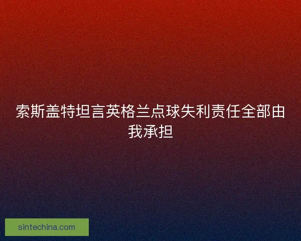 索斯盖特坦言英格兰点球失利责任全部由我承担