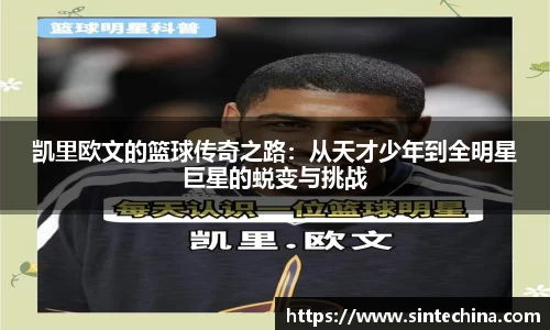 星空体育(中国)官方网站