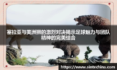 塞拉亚与美洲狮的激烈对决揭示足球魅力与团队精神的完美结合