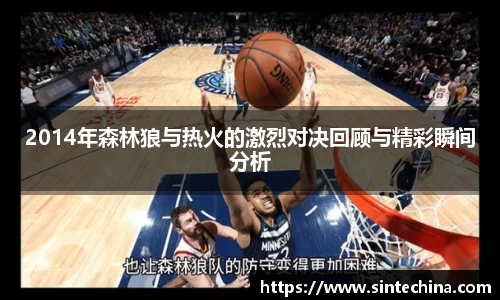 2014年森林狼与热火的激烈对决回顾与精彩瞬间分析