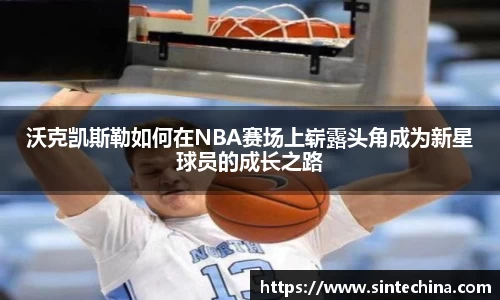星空体育(中国)官方网站