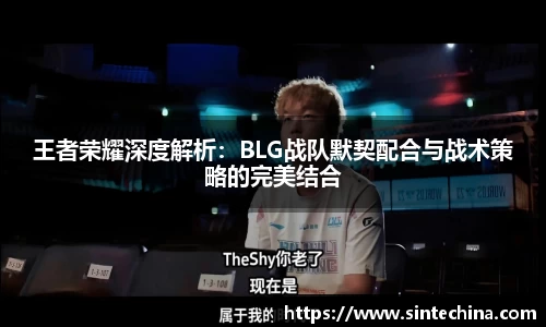 星空体育(中国)官方网站