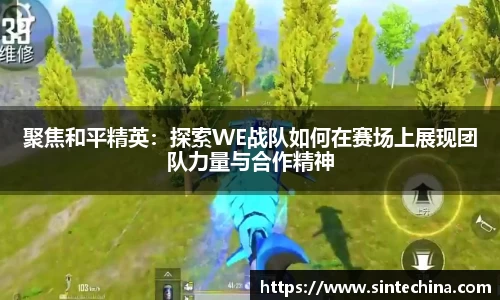 星空体育(中国)官方网站